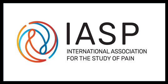 Iasp The Pain Association of Singapore – The Pain Association of Singapore